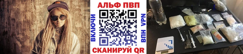 A-PVP СК КРИС  Курильск 