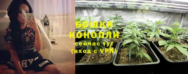 синтетический гашиш Белокуриха