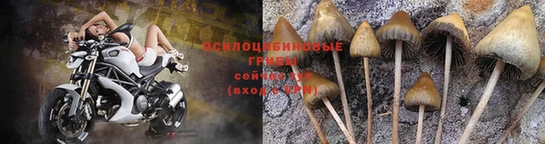 кокс Белоозёрский