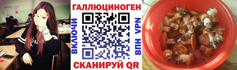 Галлюциногенные грибы ЛСД сайты даркнета официальный сайт Курильск