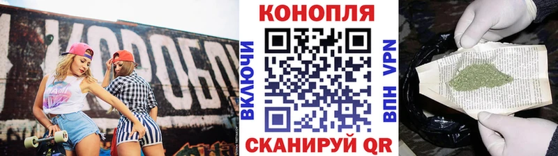 Бошки Шишки индика  МЕГА онион  Курильск  цены наркотик 